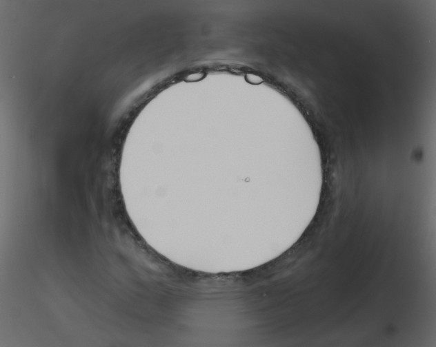 X0000115771159200912241744