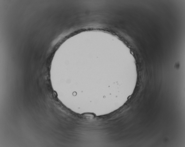 X0000115771160200912241744