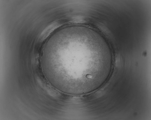 X0000115771161200912241744