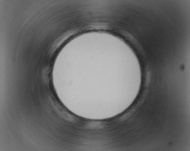 X0000115771162200912241744