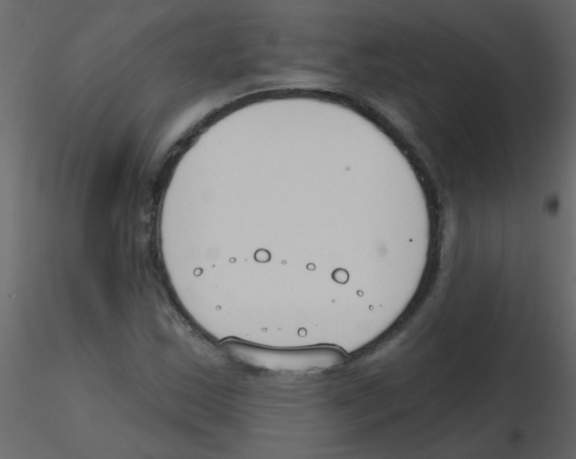 X0000115771163200912241744