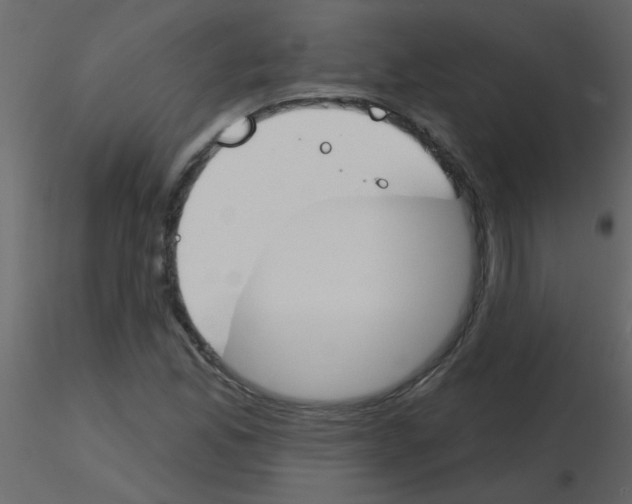 X0000115771165200912241744