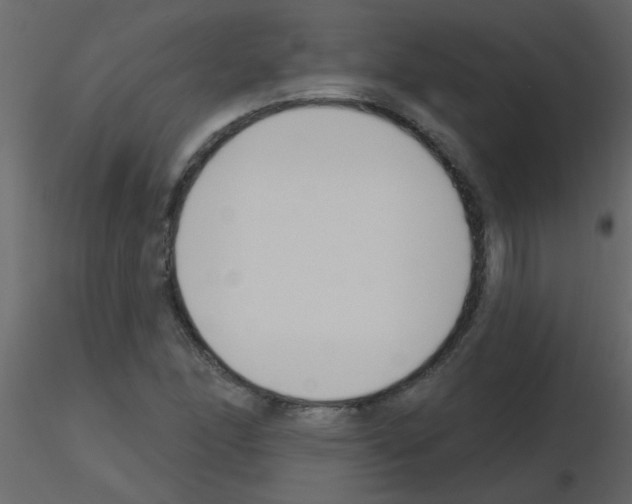 X0000115771166200912241744