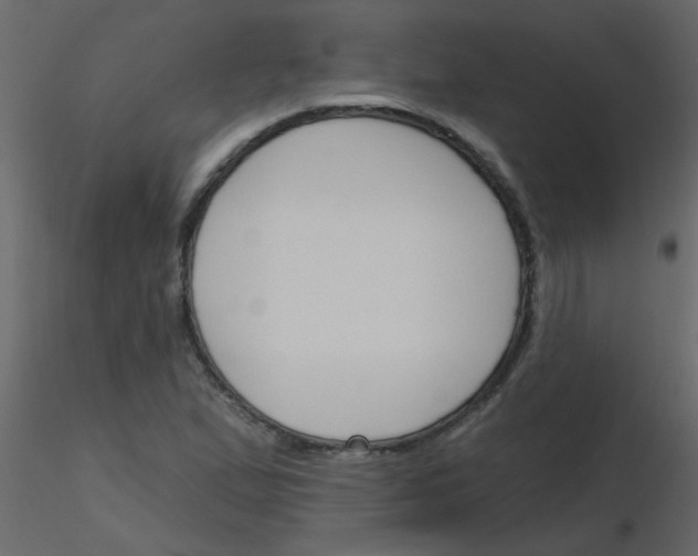 X0000115771167200912241744