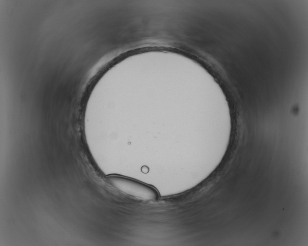 X0000115771168200912241744