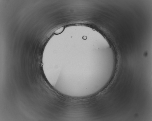 X0000115771169200912241744