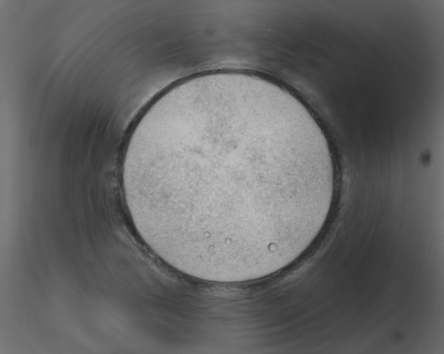 X0000115771170200912241744