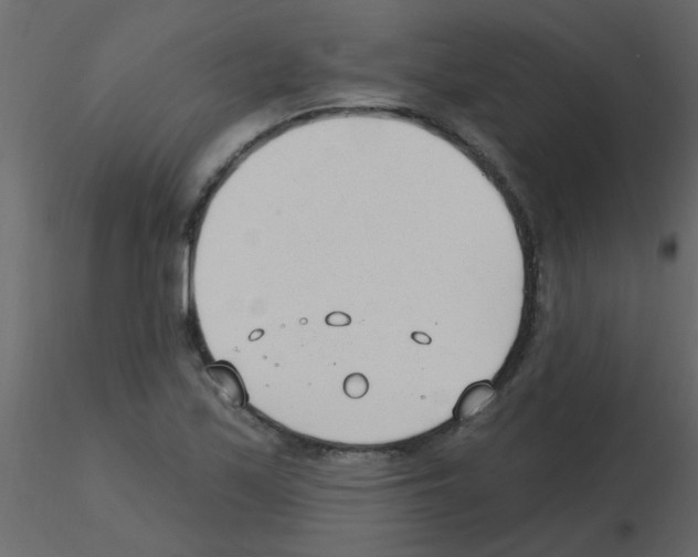 X0000115771171200912241743