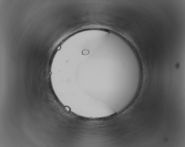 X0000115771173200912241743