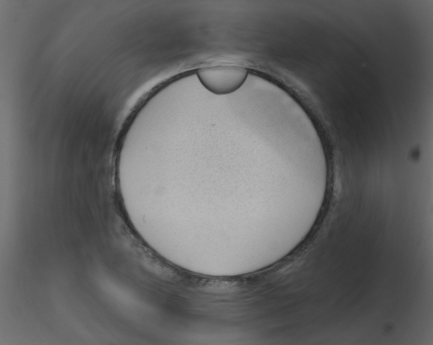 X0000115771174200912241743