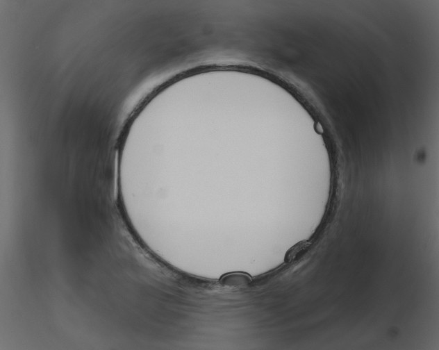 X0000115771175200912241743