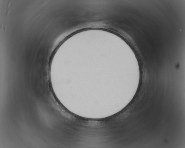 X0000115771176200912241743