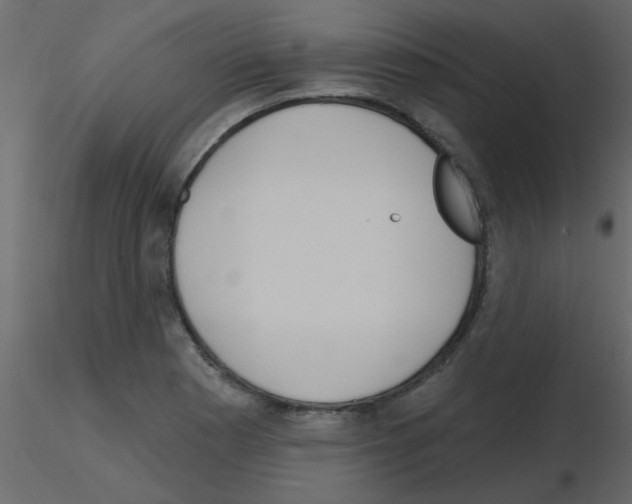 X0000115771177200912241743