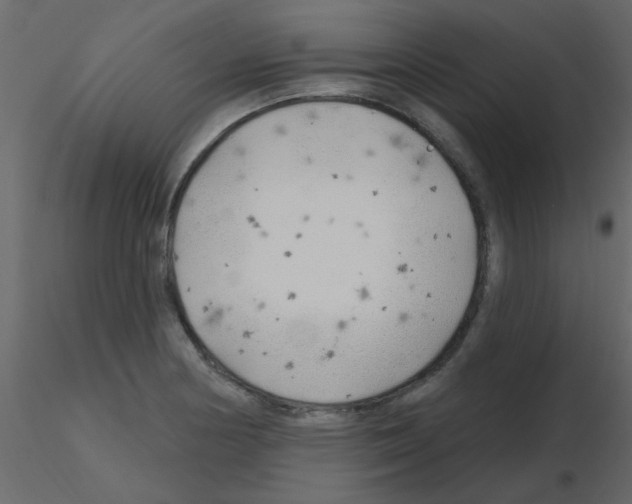 X0000115771178200912241743