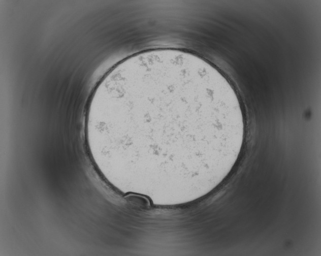 X0000115771179200912241743