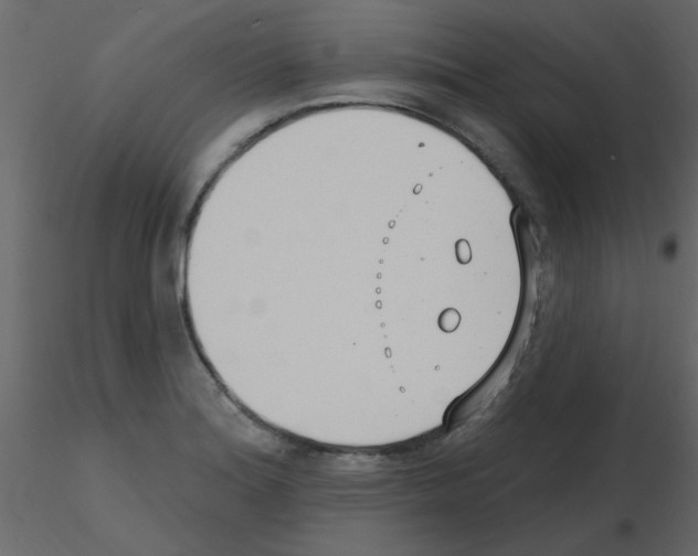 X0000115771180200912241743