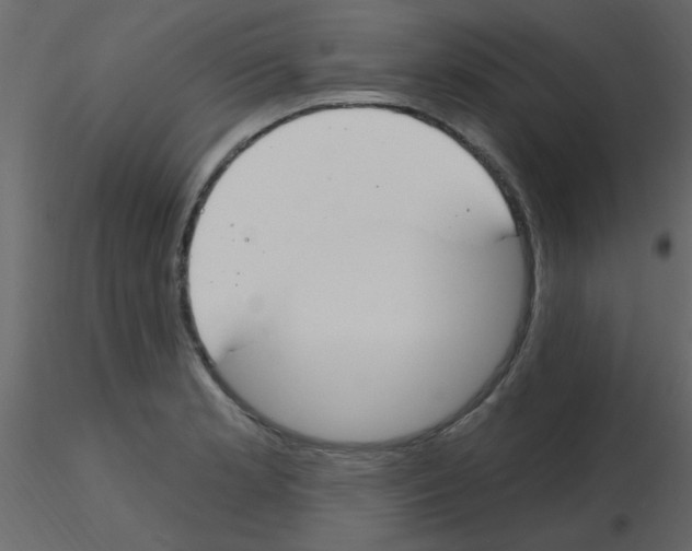 X0000115771181200912241743