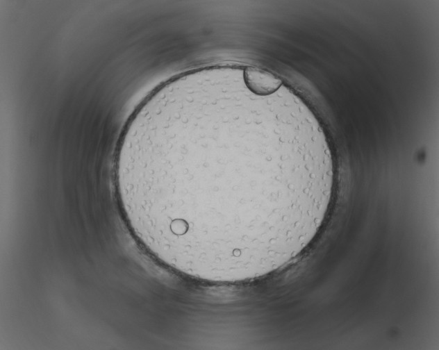 X0000115771182200912241743