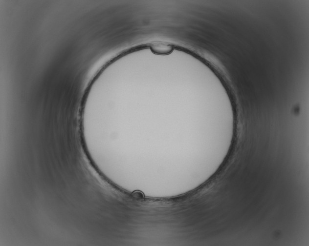 X0000115771183200912241743