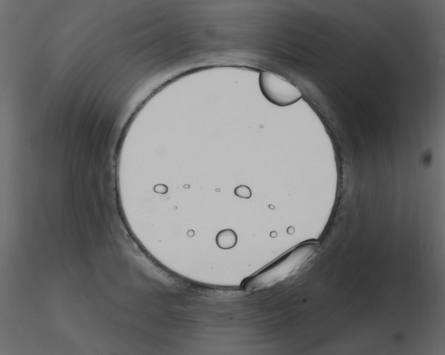 X0000115771184200912241743