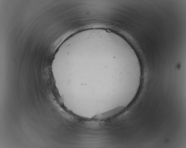 X0000115771185200912241743