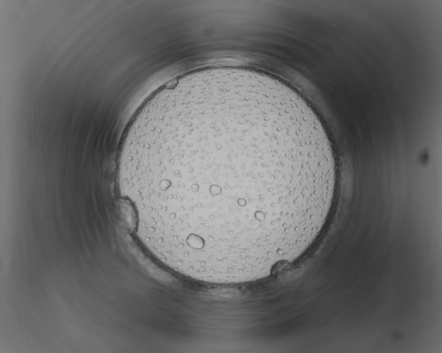 X0000115771186200912241743