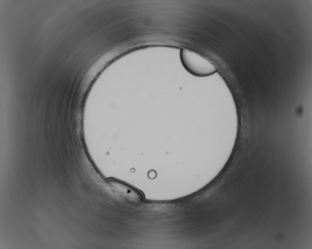 X0000115771188200912241743