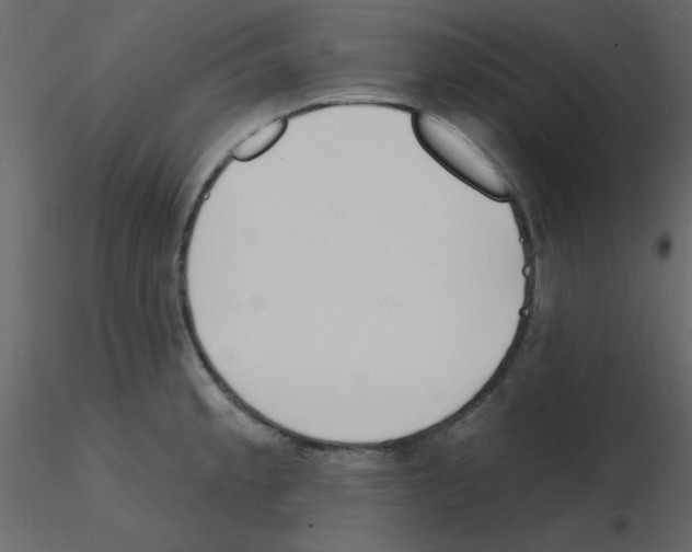 X0000115771189200912241743