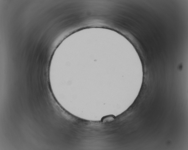 X0000115771191200912241743