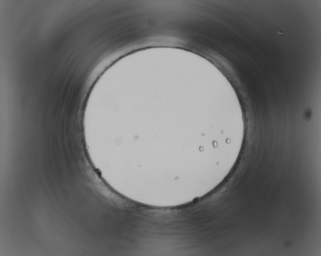 X0000115771192200912241743