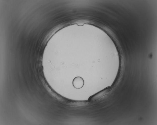 X0000115771193200912241743