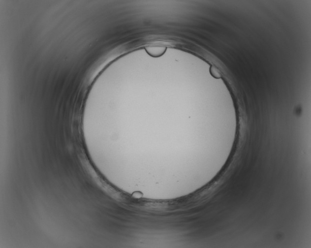 X0000115771194200912241743
