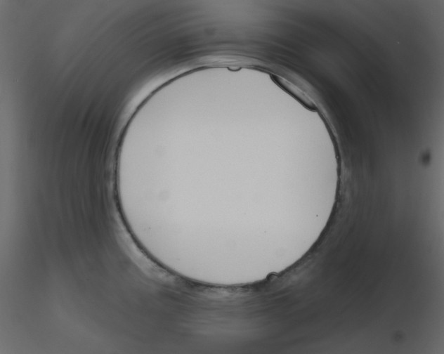 X0000115771195200912241743