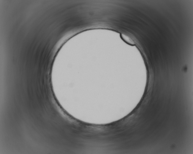 X0000115771197200912241743