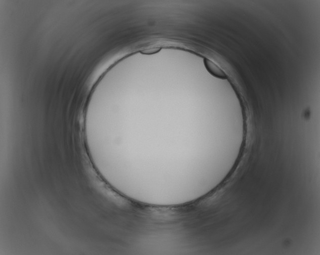 X0000115771198200912241743