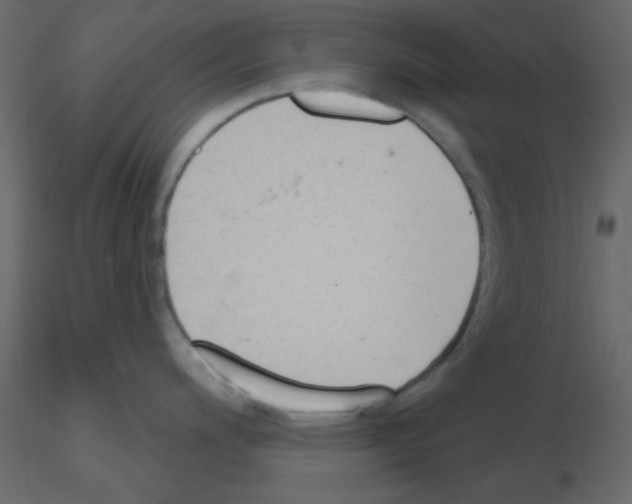 X0000115771200200912241743