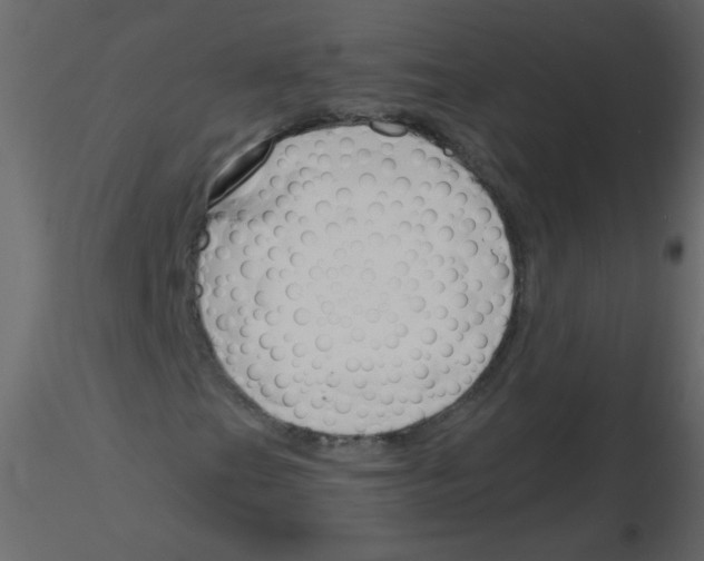 X0000115771201200912241742