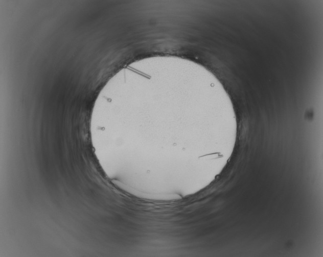 X0000115771202200912241742