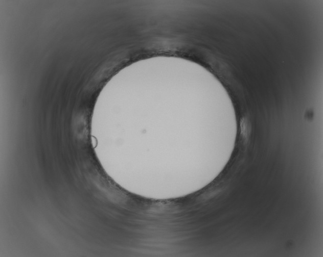 X0000115771203200912241742