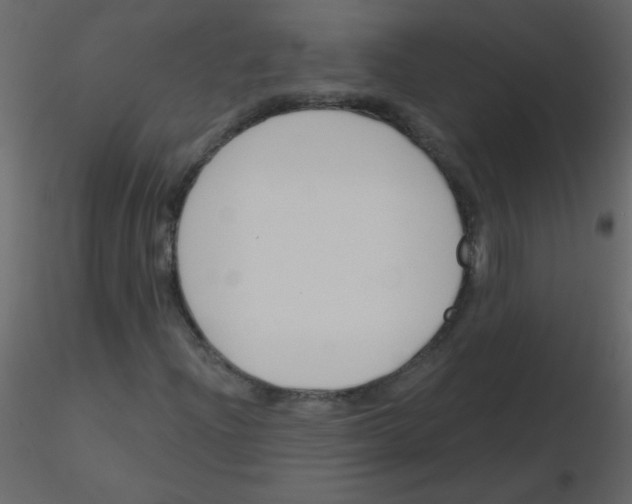 X0000115771204200912241742