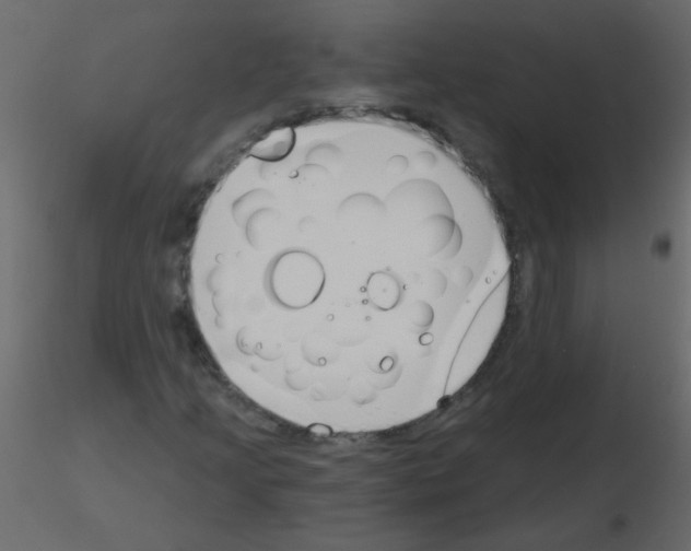 X0000115771205200912241743
