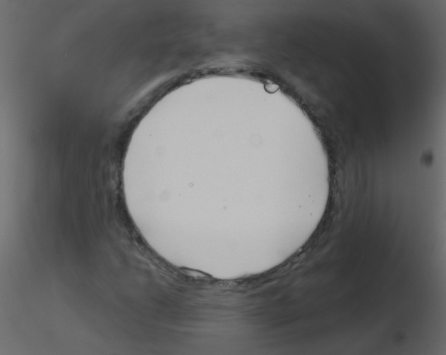 X0000115771206200912241743