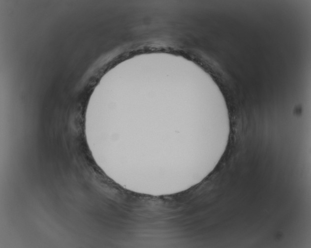 X0000115771207200912241743