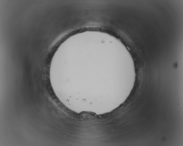 X0000115771208200912241743