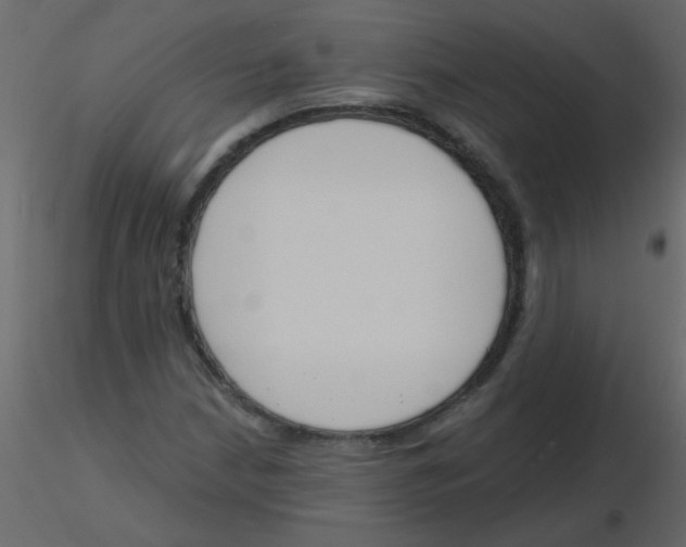 X0000115771210200912241743
