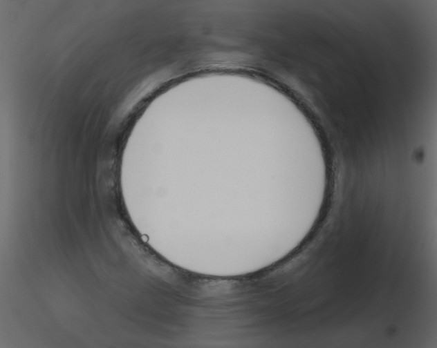 X0000115771211200912241743