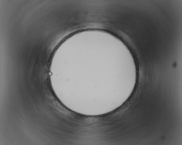 X0000115771212200912241743