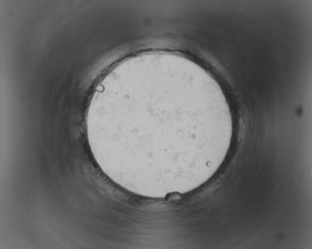 X0000115771213200912241743