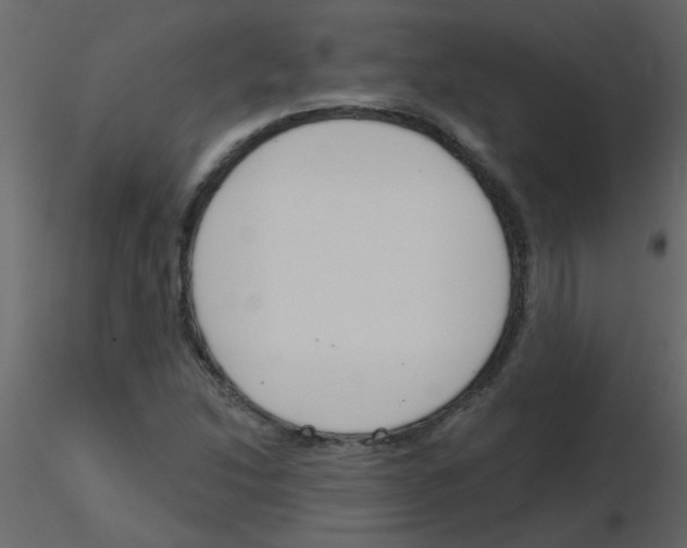 X0000115771214200912241743