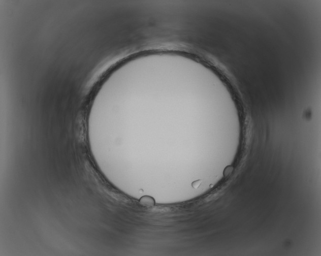 X0000115771215200912241743